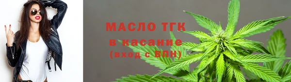 гашик Алексеевка