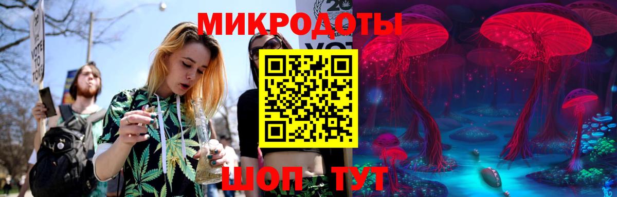 Сухой Лог  Галлюциногенные грибы мицелий  Вход с VPN 