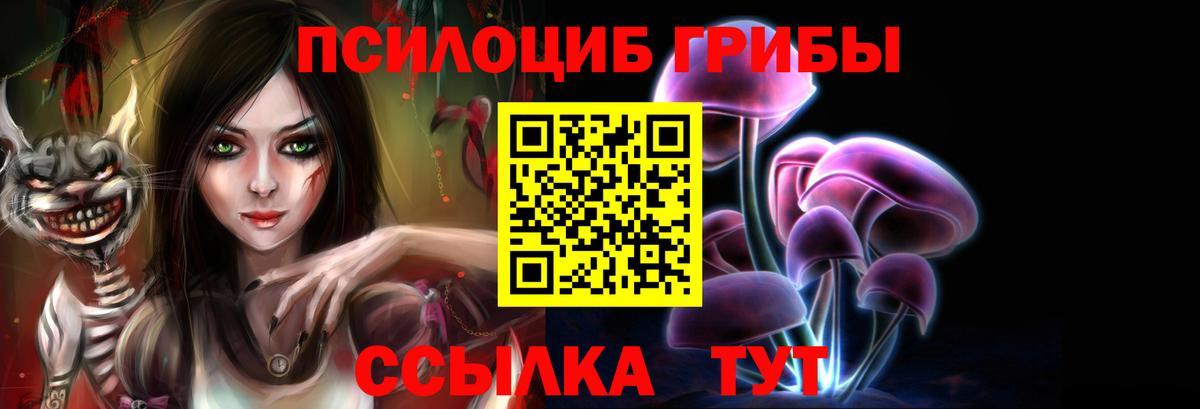 Псилоцибиновые грибы ЛСД Сухой Лог